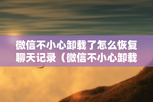 微信不小心卸载了怎么恢复聊天记录（微信不小心卸载了怎么找回原微信聊天记录）
