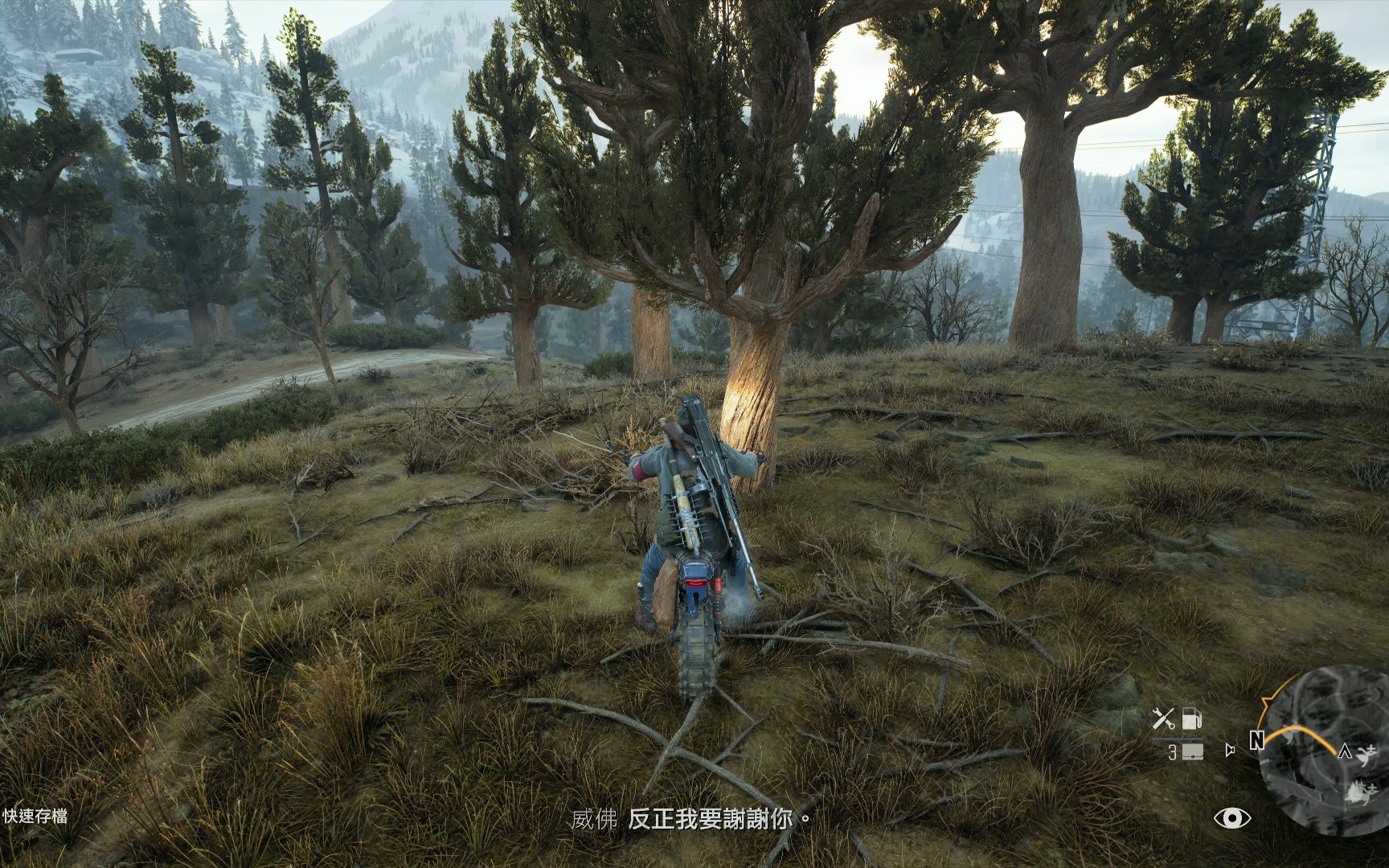 往日不再伐木场在哪里