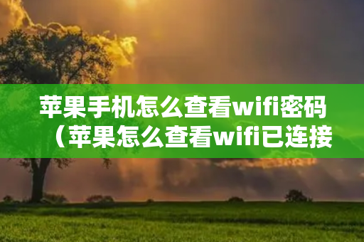 苹果手机怎么查看wifi密码（苹果怎么查看wifi已连接密码）