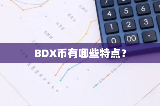 BDX币有哪些特点？