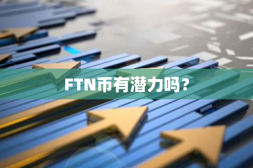FTN币有潜力吗？