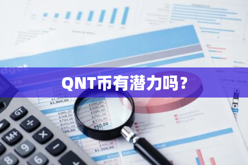 QNT币有潜力吗？