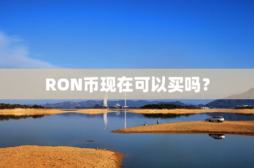 RON币现在可以买吗？
