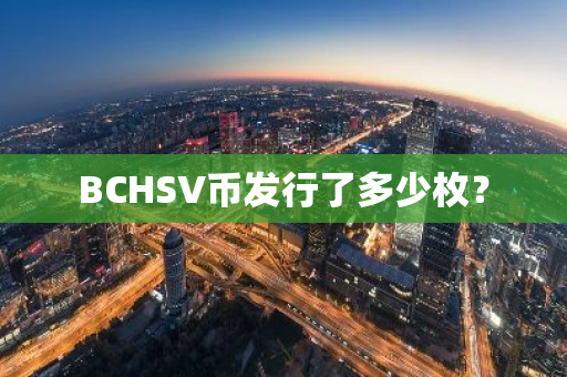 BCHSV币发行了多少枚？
