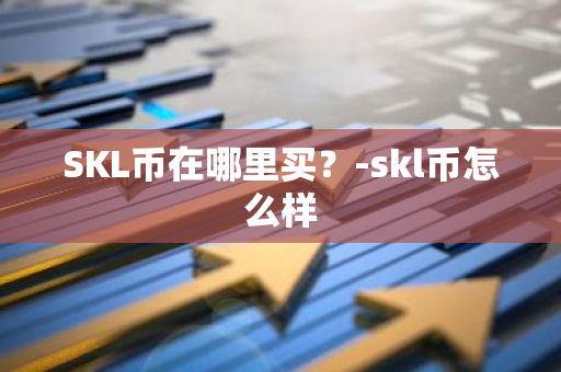 SKL币在哪里买？-skl币怎么样