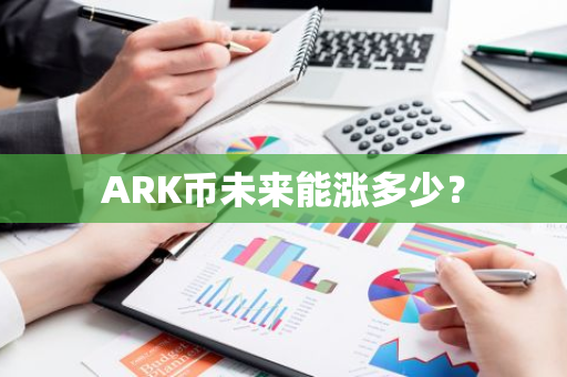 ARK币未来能涨多少？