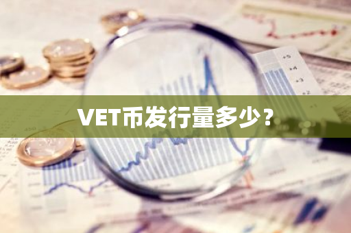 VET币发行量多少？