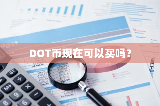 DOT币现在可以买吗？