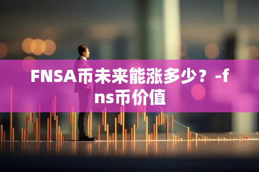 FNSA币未来能涨多少？-fns币价值