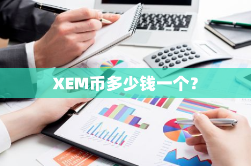 XEM币多少钱一个？