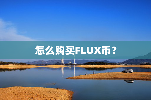 怎么购买FLUX币？