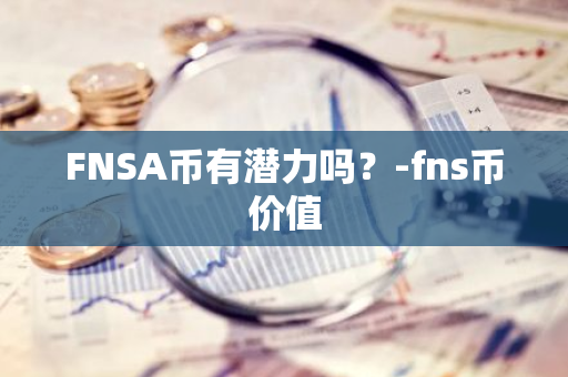 FNSA币有潜力吗？-fns币价值
