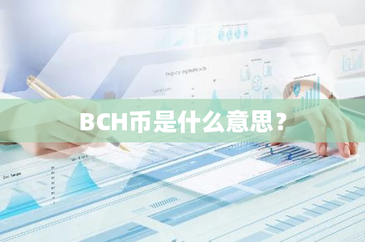 BCH币是什么意思？