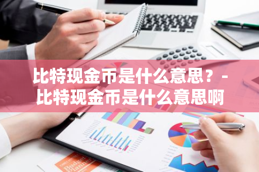 比特现金币是什么意思？-比特现金币是什么意思啊