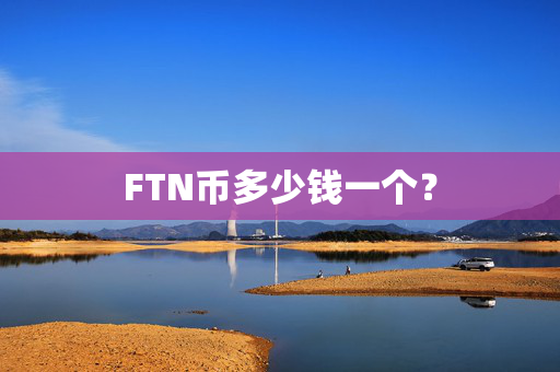 FTN币多少钱一个？