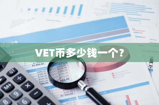 VET币多少钱一个？