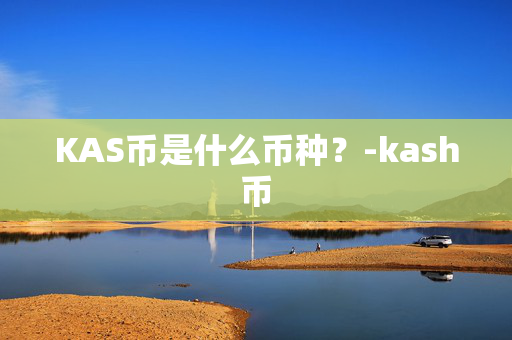 KAS币是什么币种？-kash币