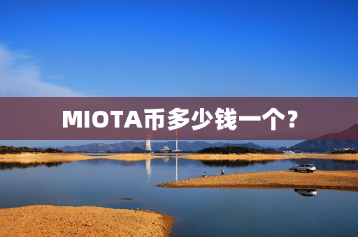 MIOTA币多少钱一个？