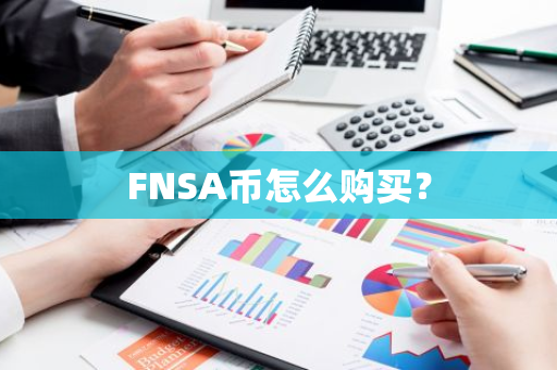FNSA币怎么购买？