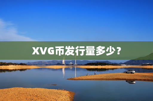 XVG币发行量多少？