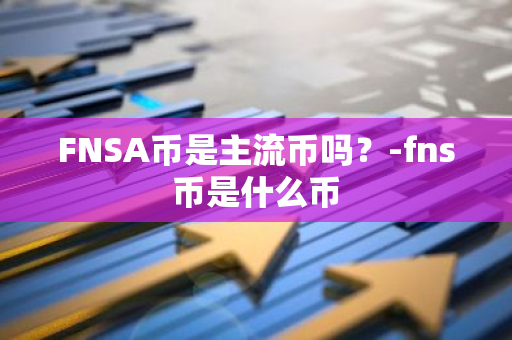 FNSA币是主流币吗？-fns币是什么币