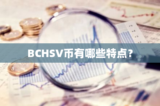 BCHSV币有哪些特点？