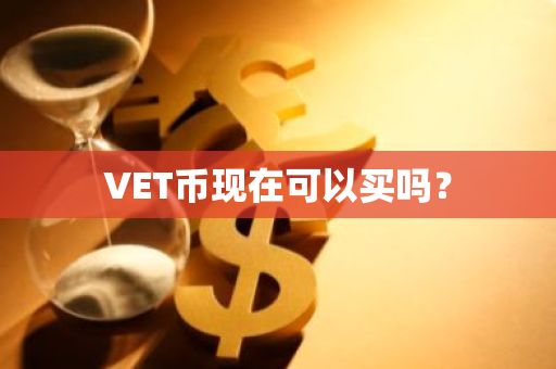 VET币现在可以买吗？