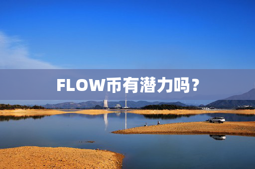 FLOW币有潜力吗？