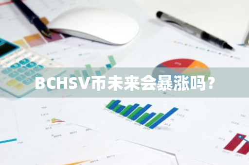 BCHSV币未来会暴涨吗？