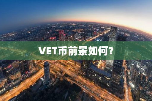 VET币前景如何？