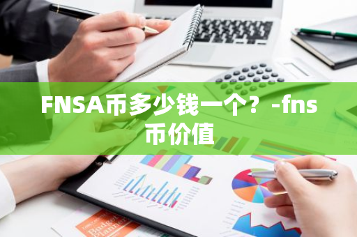FNSA币多少钱一个？-fns币价值