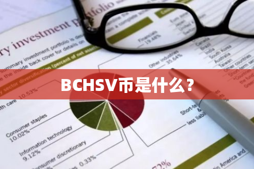 BCHSV币是什么？