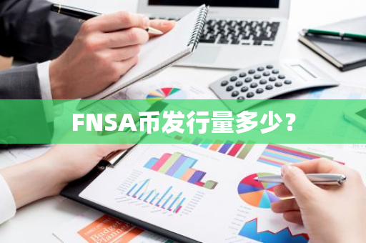 FNSA币发行量多少？