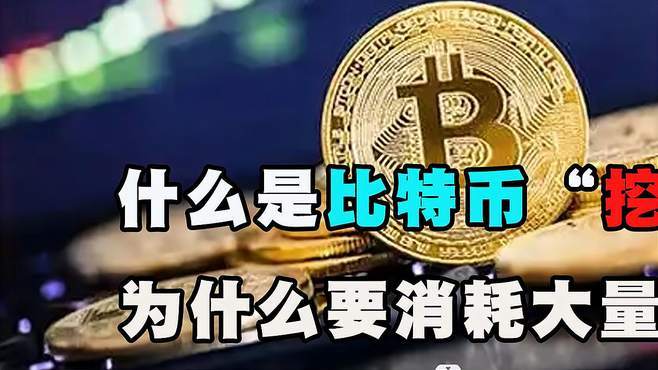 比特币儿子是什么