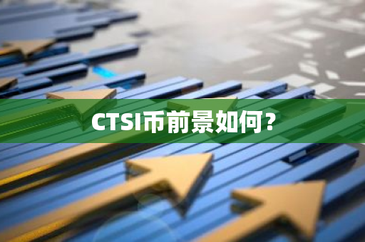 CTSI币前景如何？