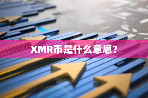 XMR币是什么意思？