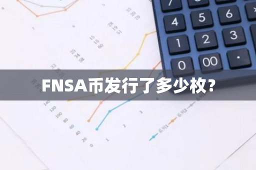 FNSA币发行了多少枚？