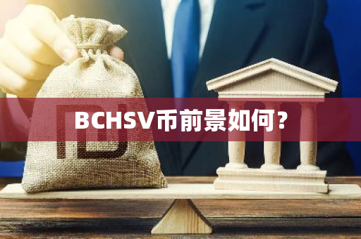 BCHSV币前景如何？