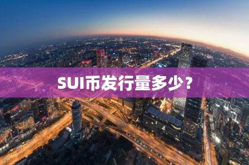 SUI币发行量多少？