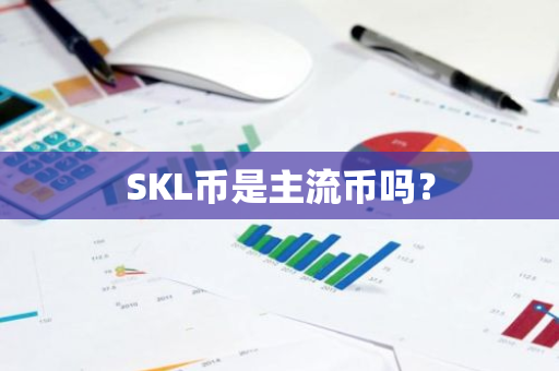 SKL币是主流币吗？
