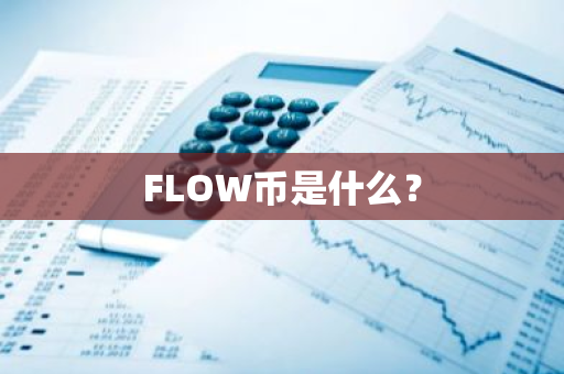 FLOW币是什么？