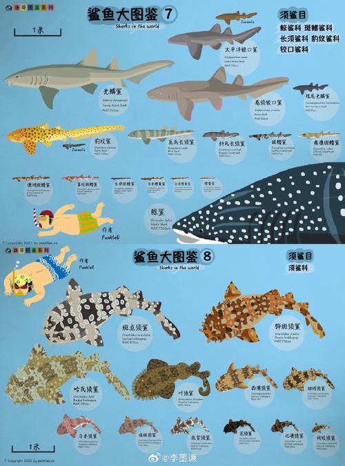 鲨鱼币交易行情m.baidu.com-鲨鱼币最新价格