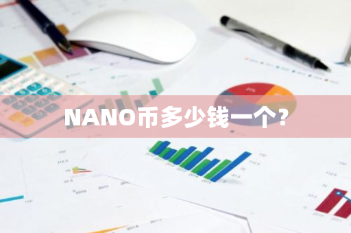 NANO币多少钱一个？