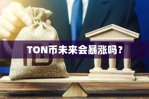 TON币未来会暴涨吗？