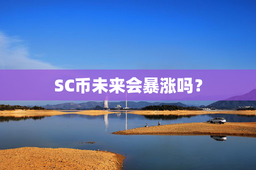SC币未来会暴涨吗？