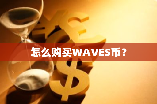 怎么购买WAVES币？