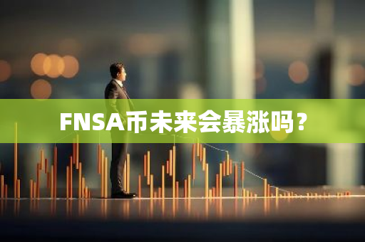 FNSA币未来会暴涨吗？