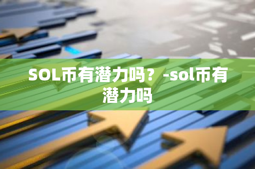 SOL币有潜力吗？-sol币有潜力吗