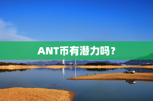 ANT币有潜力吗？