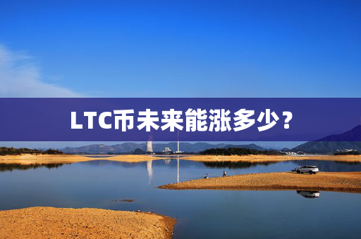 LTC币未来能涨多少？